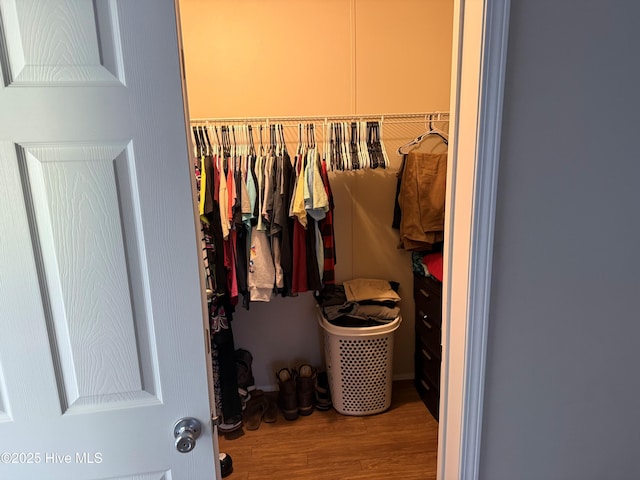 spacious closet featuring wood finished floors