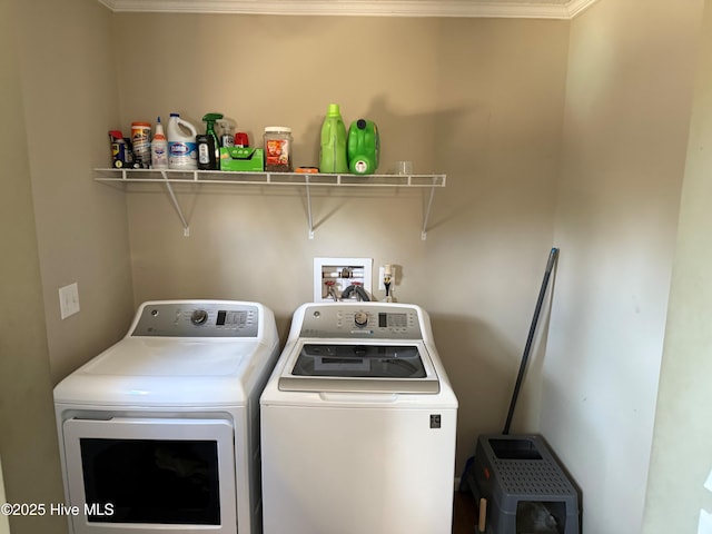 washroom with laundry area, separate washer and dryer, and crown molding