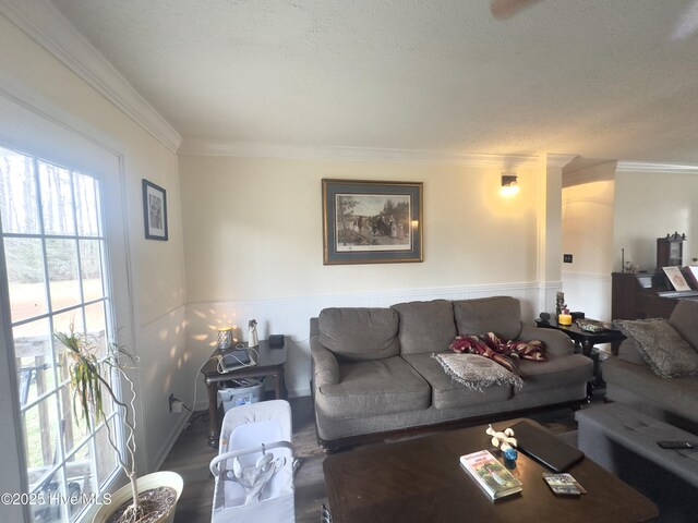 living area featuring crown molding, wood finished floors, and a textured ceiling