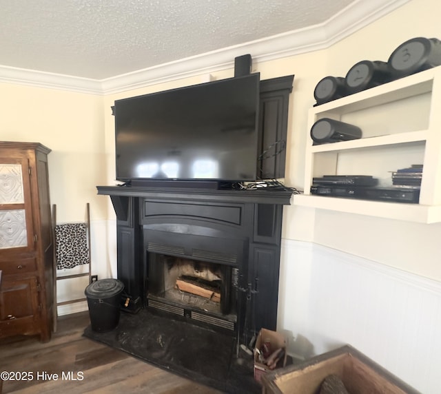 room details with wood finished floors, a wainscoted wall, a fireplace with raised hearth, ornamental molding, and a textured ceiling