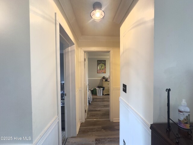 hallway with dark wood-type flooring and crown molding