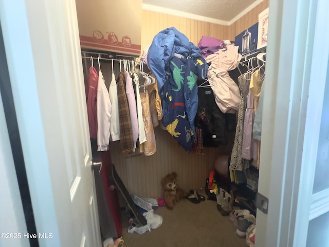 spacious closet with carpet floors