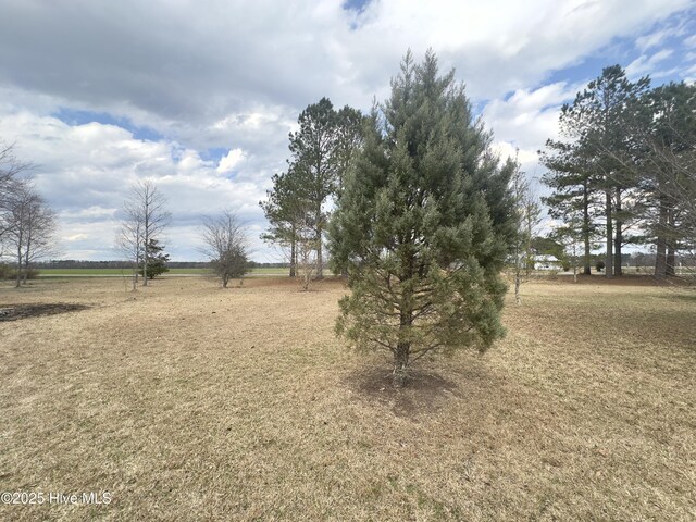 view of yard with a rural view