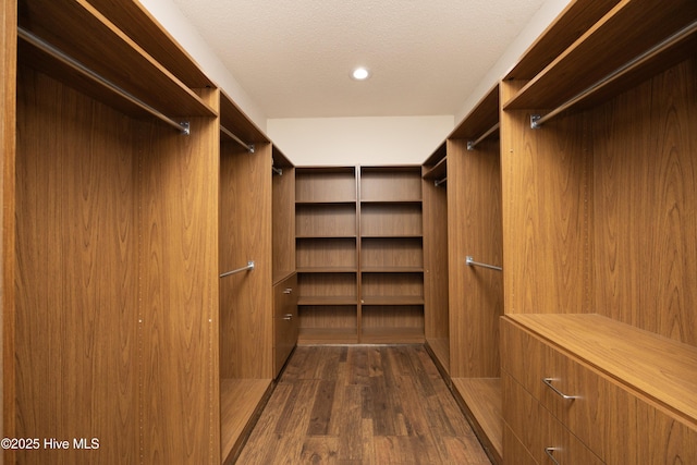 spacious closet featuring dark wood-type flooring