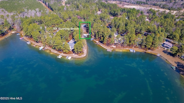 aerial view featuring a view of trees and a water view