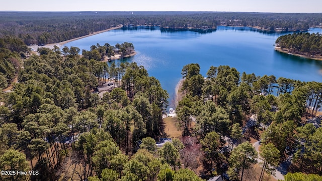 birds eye view of property with a wooded view and a water view