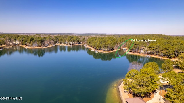 aerial view with a forest view and a water view