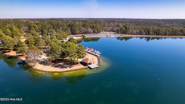 bird's eye view with a forest view and a water view