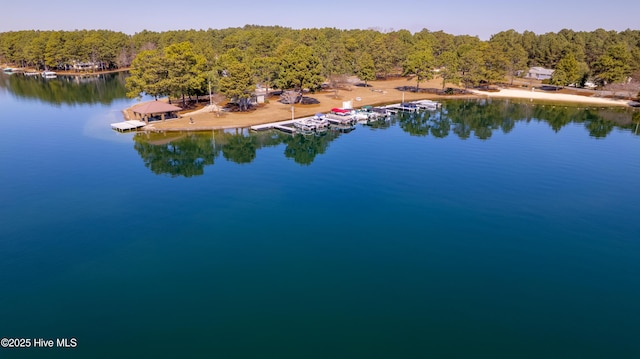 drone / aerial view with a view of trees and a water view