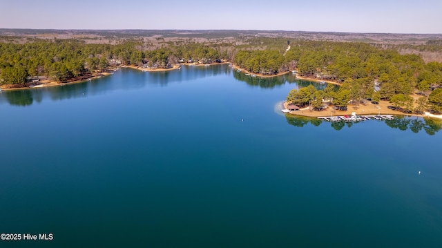 bird's eye view with a forest view and a water view