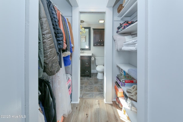 walk in closet featuring a sink and wood finished floors