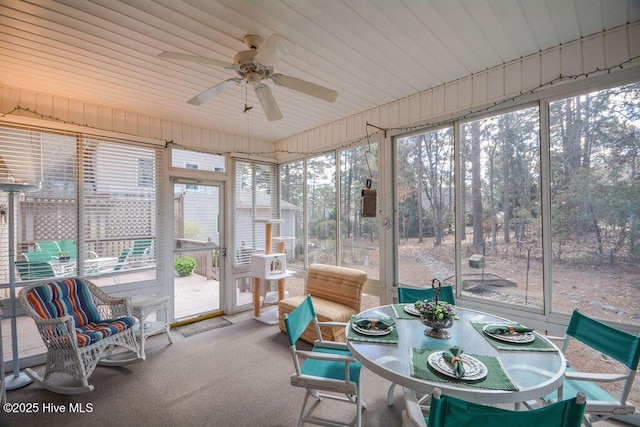 sunroom with a ceiling fan and a healthy amount of sunlight