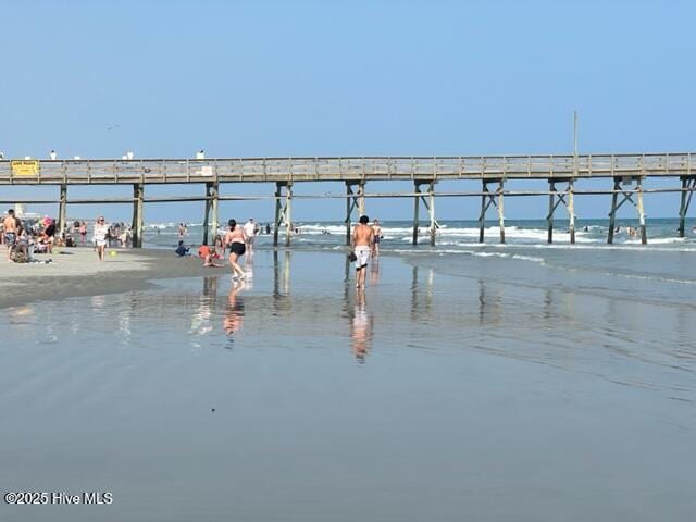 view of community featuring a water view and a pier