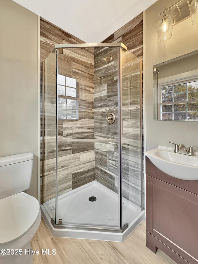 full bathroom featuring vanity, toilet, wood finished floors, and a stall shower