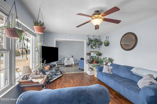 living room with ceiling fan, a textured ceiling, and wood finished floors