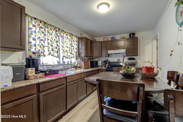 kitchen with stainless steel electric range oven, light countertops, light wood-type flooring, under cabinet range hood, and a sink