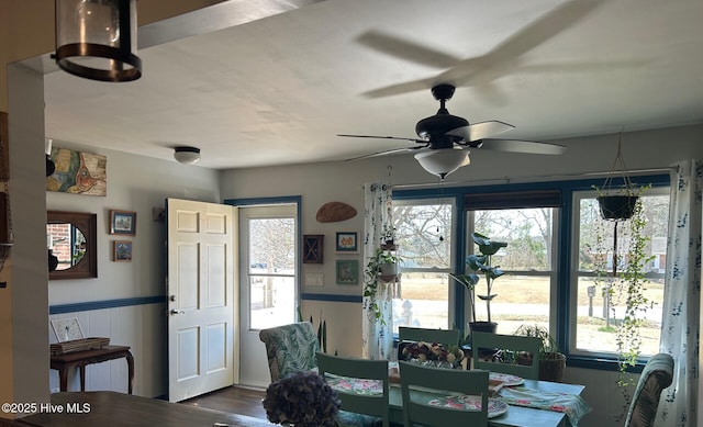 dining room with plenty of natural light, ceiling fan, dark wood-style flooring, and wainscoting