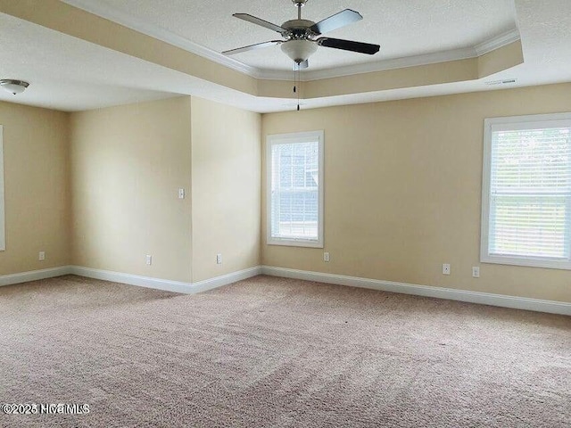 carpeted empty room featuring a textured ceiling, crown molding, a raised ceiling, and a healthy amount of sunlight