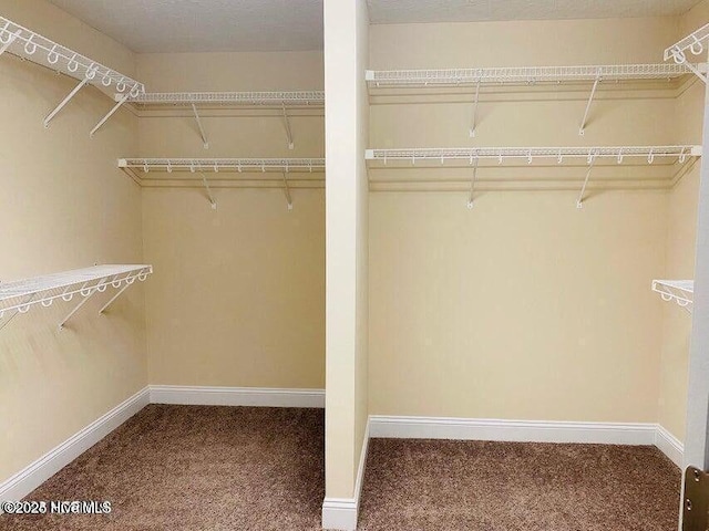 walk in closet featuring carpet floors