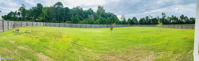 view of yard with a fenced backyard