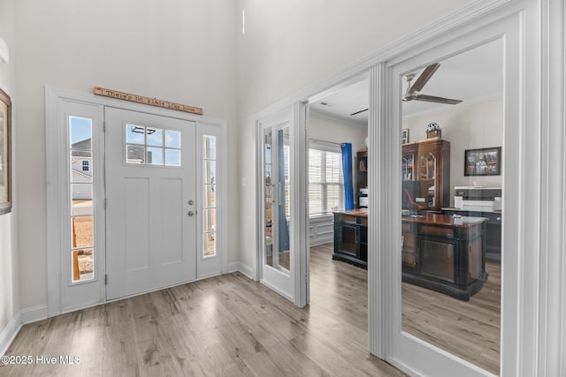 foyer with crown molding, a ceiling fan, and wood finished floors