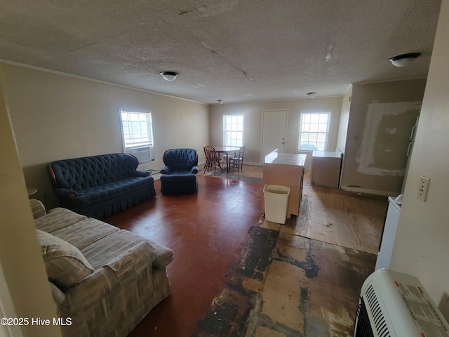 living area with a textured ceiling and ornamental molding