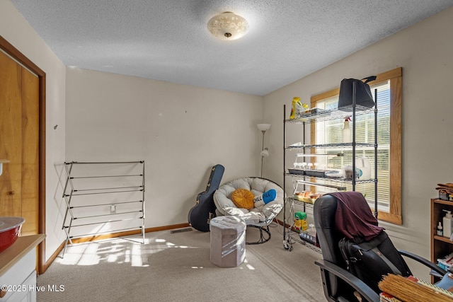 122 Charlie Lewis Ln, Beaufort, NC 28516 - carpeted home office with a textured ceiling and baseboards
