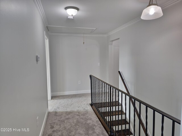 staircase with baseboards, attic access, crown molding, and carpet