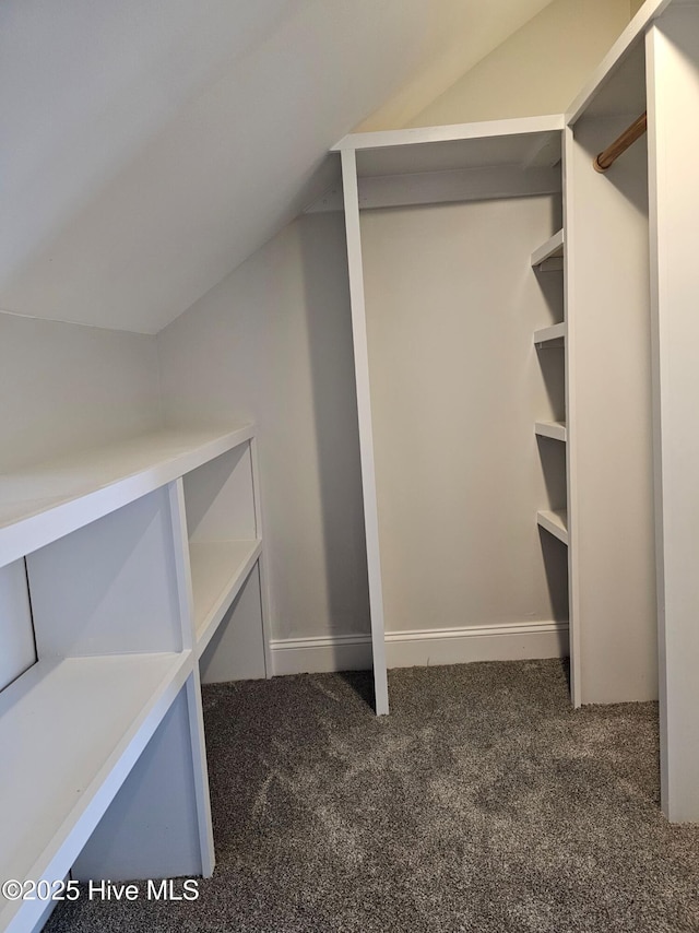 spacious closet with carpet flooring and vaulted ceiling