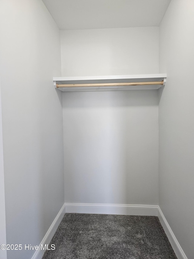 spacious closet with dark carpet