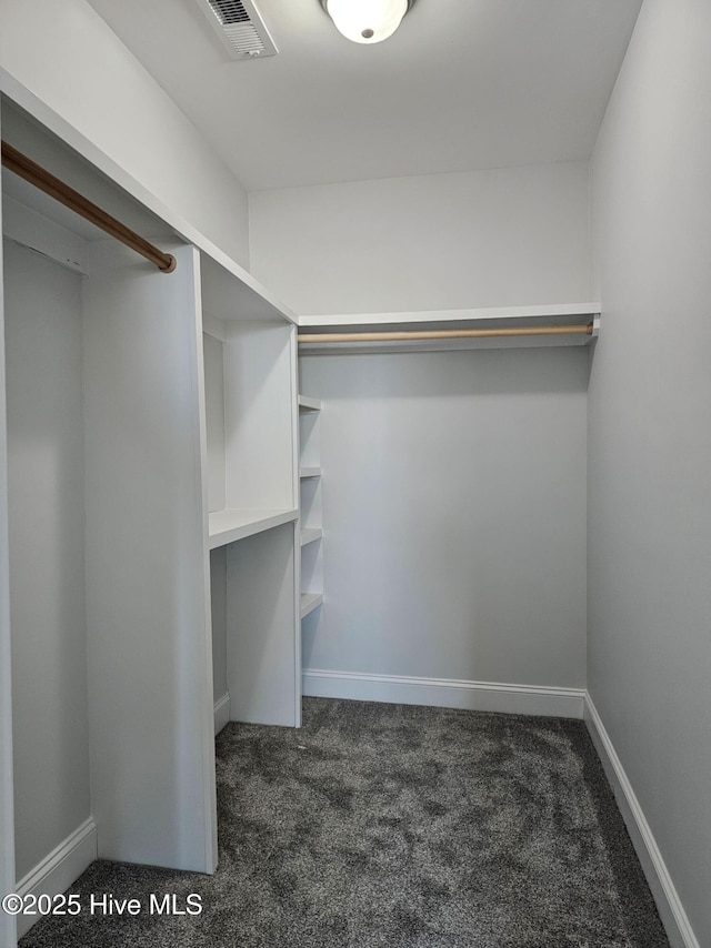 spacious closet with visible vents and carpet