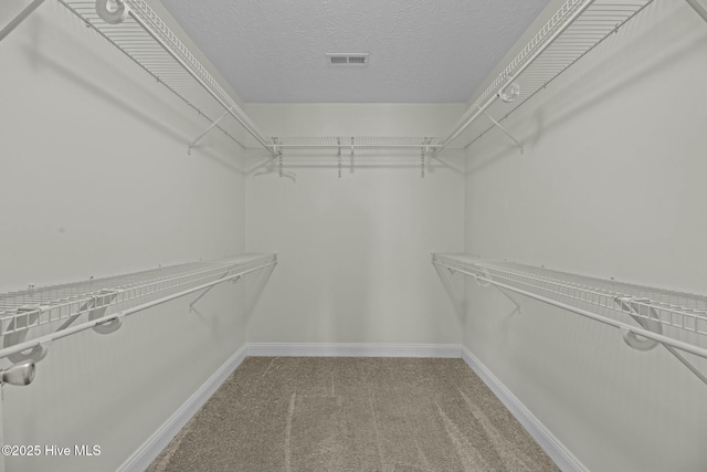 spacious closet featuring visible vents and light colored carpet