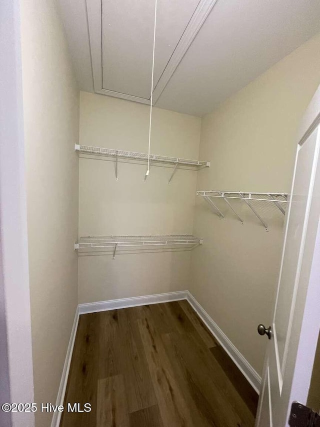 spacious closet with attic access and wood finished floors