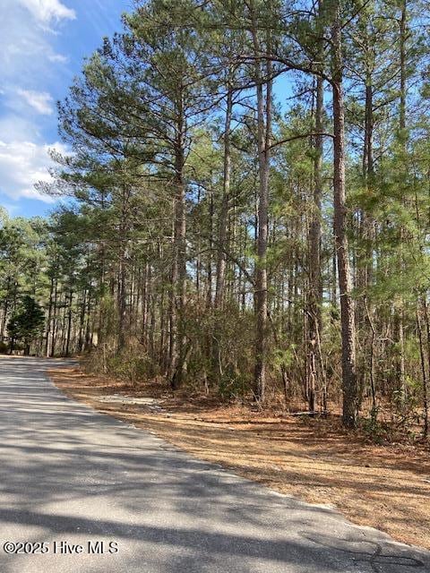 Listing photo 3 for 30 Forest Fern Ct, Wagram NC 28396