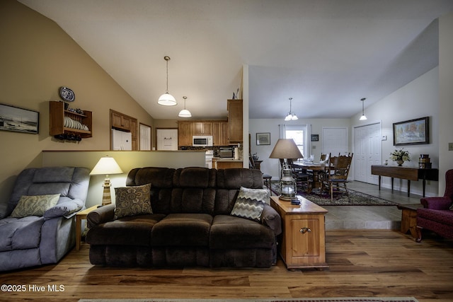 living area featuring dark wood-type flooring and high vaulted ceiling