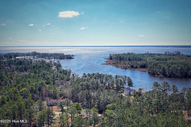 aerial view with a view of trees and a water view