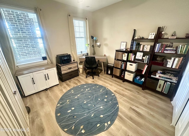 office space featuring light wood-style flooring