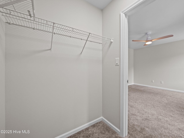 walk in closet with carpet floors and a ceiling fan