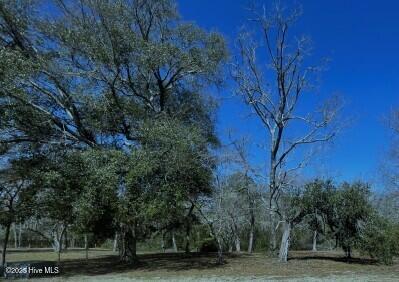 LOT34 Pebble Shore Ln, Southport NC, 28461 land for sale