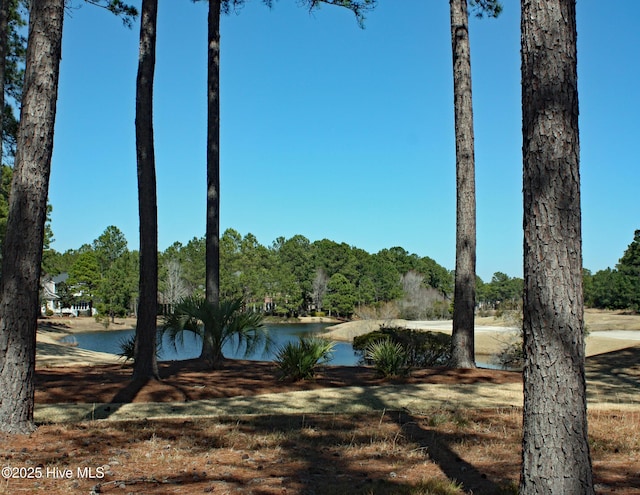 6234 Castlebrook Way SW Unit 74, Ocean Isle Beach NC, 28469 land for sale