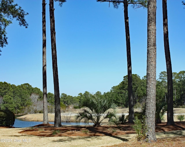 Listing photo 2 for 6234 Castlebrook Way SW Unit 74, Ocean Isle Beach NC 28469