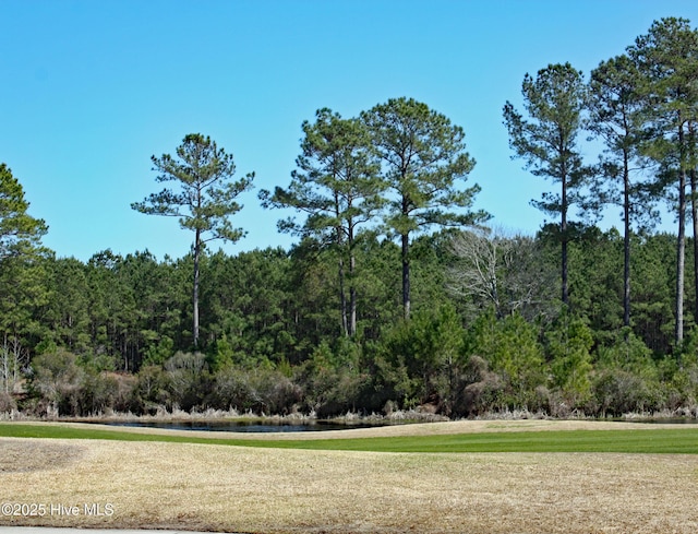 Listing photo 3 for 6234 Castlebrook Way SW Unit 74, Ocean Isle Beach NC 28469