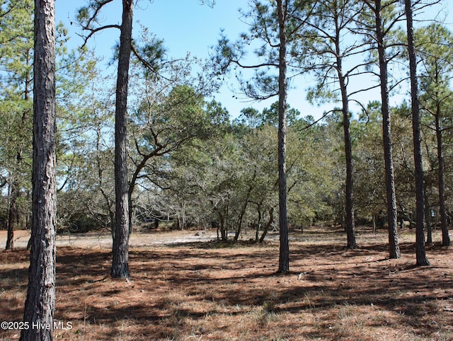 6350 Castlebrook Way SW Unit 31, Ocean Isle Beach NC, 28469 land for sale