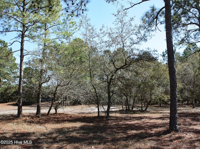 Listing photo 3 for 6350 Castlebrook Way SW Unit 31, Ocean Isle Beach NC 28469