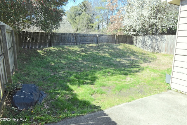 view of yard featuring a fenced backyard