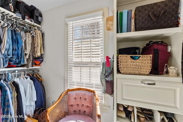 view of spacious closet