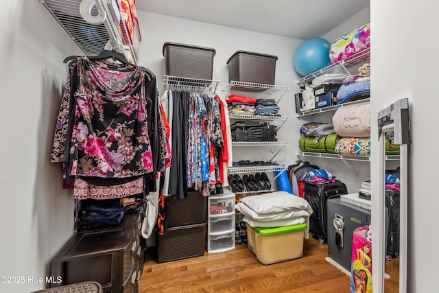 spacious closet featuring wood finished floors