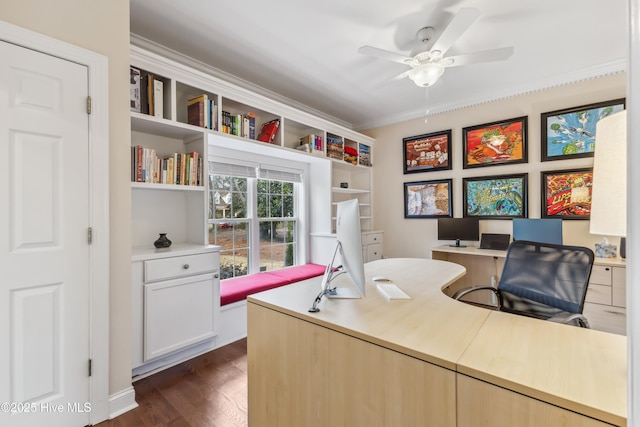 office area featuring ornamental molding, a ceiling fan, and dark wood-style flooring