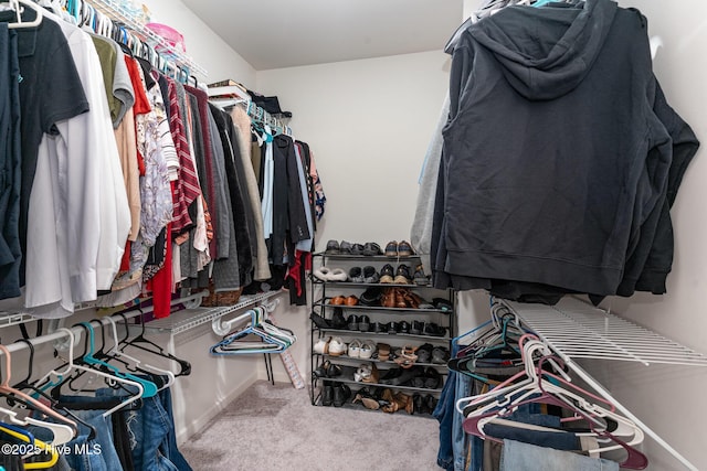 spacious closet with carpet