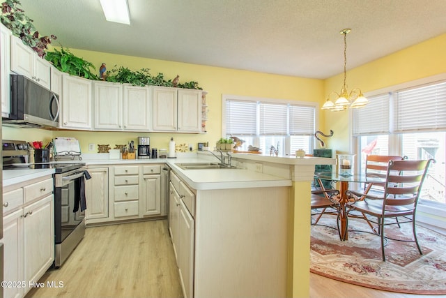 kitchen with a peninsula, a healthy amount of sunlight, stainless steel appliances, and a sink